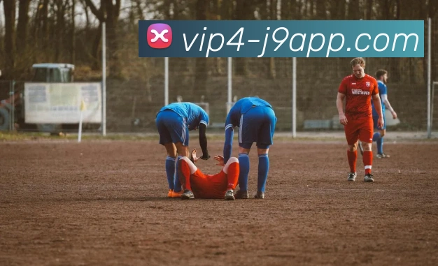 App界面