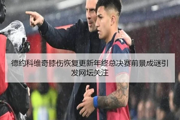 德约科维奇膝伤恢复更新年终总决赛前景成谜引发网坛关注